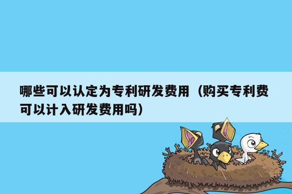 哪些可以认定为专利研发费用（购买专利费 可以计入研发费用吗）