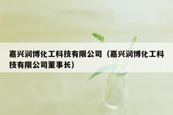 嘉兴润博化工科技有限公司（嘉兴润博化工科技有限公司董事长）