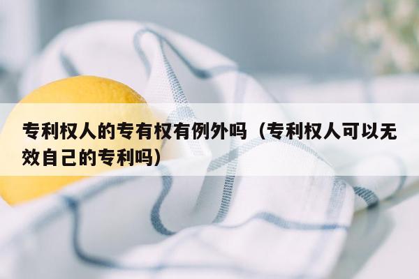 专利权人的专有权有例外吗（专利权人可以无效自己的专利吗）