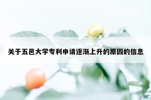 关于五邑大学专利申请逐渐上升的原因的信息