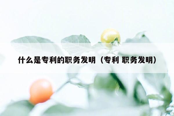 什么是专利的职务发明（专利 职务发明）