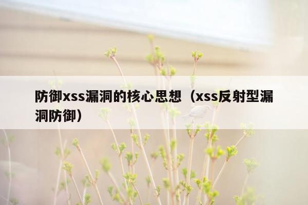 防御xss漏洞的核心思想（xss反射型漏洞防御）