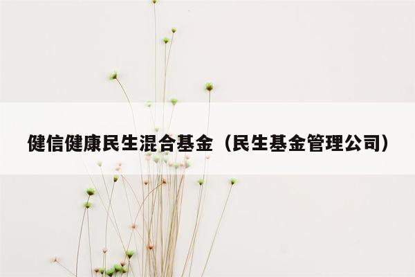 健信健康民生混合基金（民生基金管理公司）