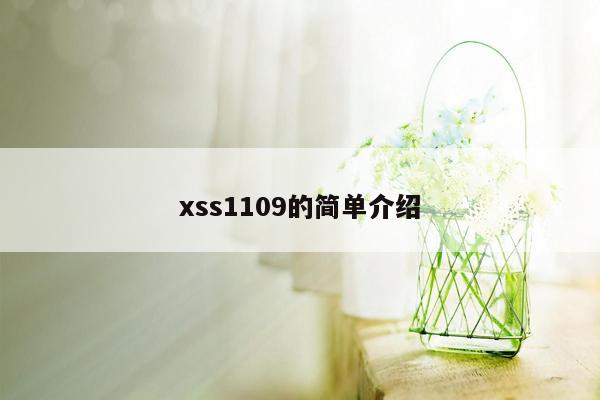 xss1109的简单介绍