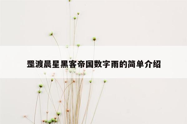 罡渡晨星黑客帝国数字雨的简单介绍