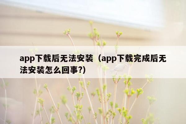 app下载后无法安装（app下载完成后无法安装怎么回事?）