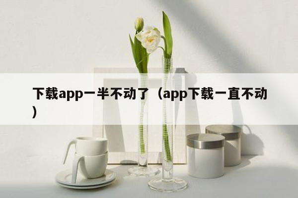 下载app一半不动了（app下载一直不动）