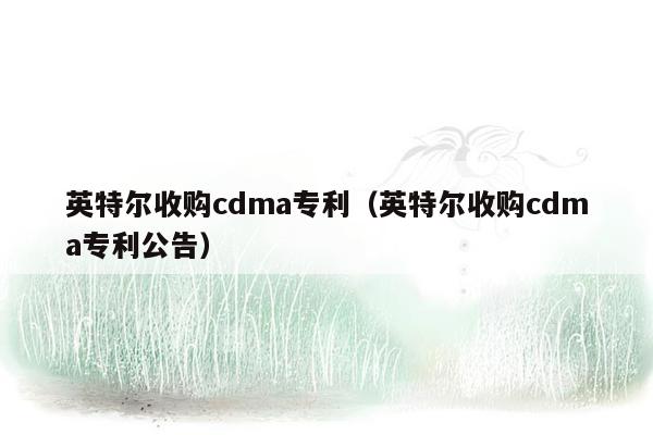 英特尔收购cdma专利（英特尔收购cdma专利公告）