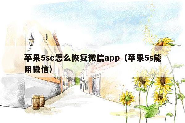 苹果5se怎么恢复微信app（苹果5s能用微信）