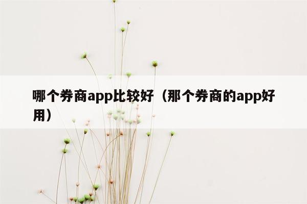 哪个券商app比较好（那个券商的app好用）