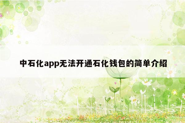 中石化app无法开通石化钱包的简单介绍