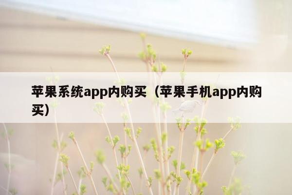 苹果系统app内购买（苹果手机app内购买）