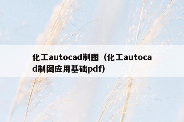 化工autocad制图（化工autocad制图应用基础pdf）