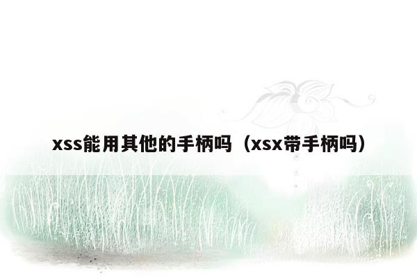 xss能用其他的手柄吗（xsx带手柄吗）