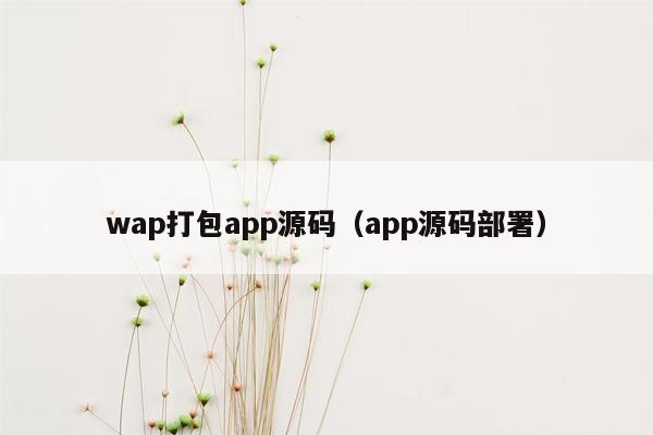 wap打包app源码（app源码部署）