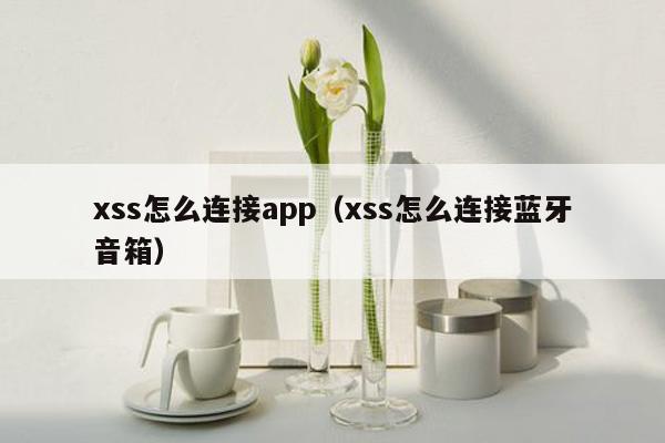 xss怎么连接app（xss怎么连接蓝牙音箱）