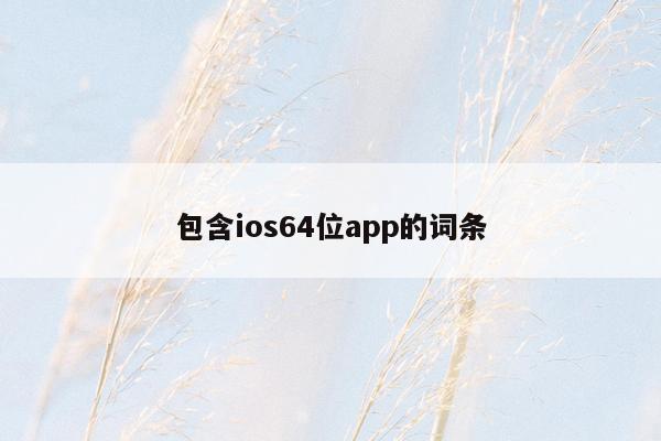 包含ios64位app的词条