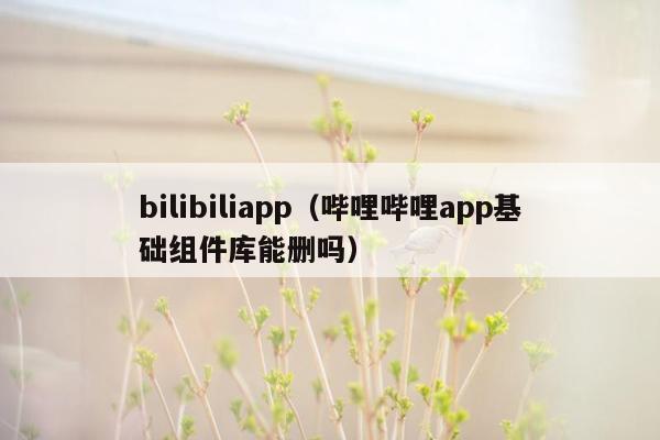 bilibiliapp（哔哩哔哩app基础组件库能删吗）