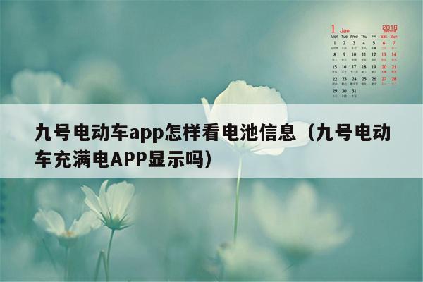 九号电动车app怎样看电池信息（九号电动车充满电APP显示吗）