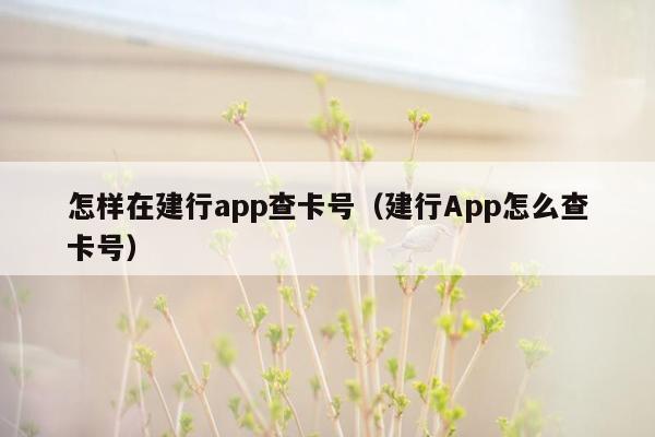 怎样在建行app查卡号（建行App怎么查卡号）