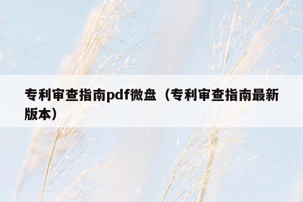 专利审查指南pdf微盘（专利审查指南最新版本）