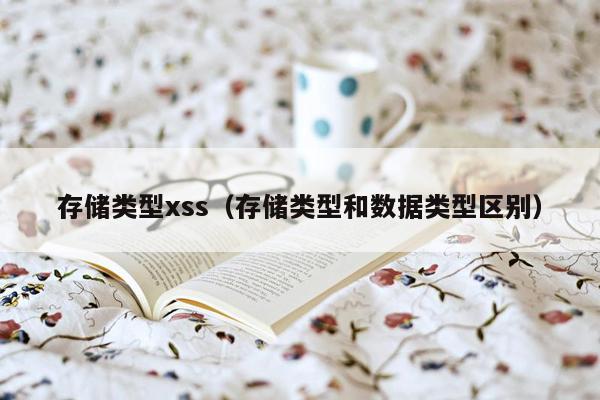 存储类型xss（存储类型和数据类型区别）