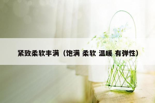 紧致柔软丰满（饱满 柔软 温暖 有弹性）