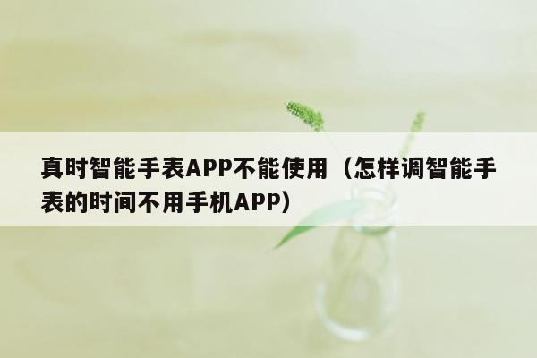 真时智能手表APP不能使用（怎样调智能手表的时间不用手机APP）