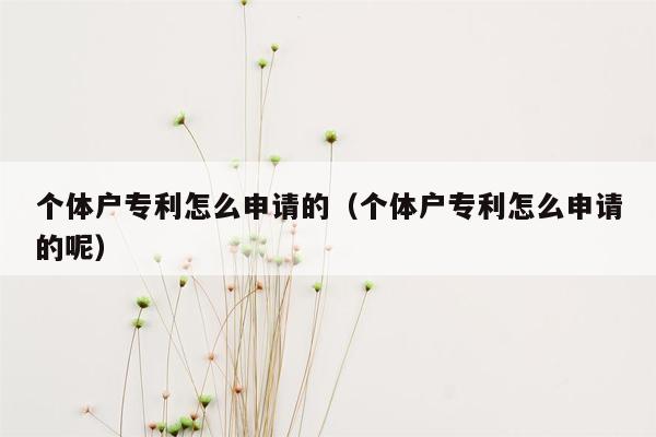 个体户专利怎么申请的（个体户专利怎么申请的呢）