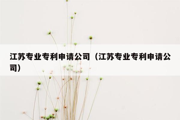 江苏专业专利申请公司（江苏专业专利申请公司）