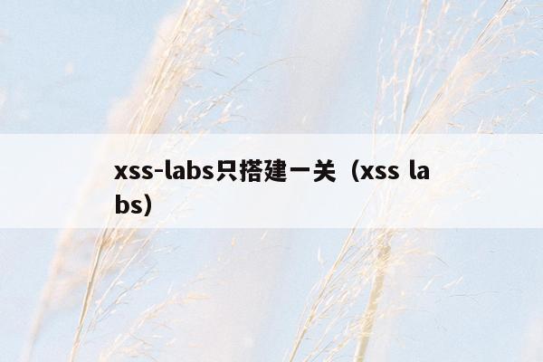 xss-labs只搭建一关（xss labs）