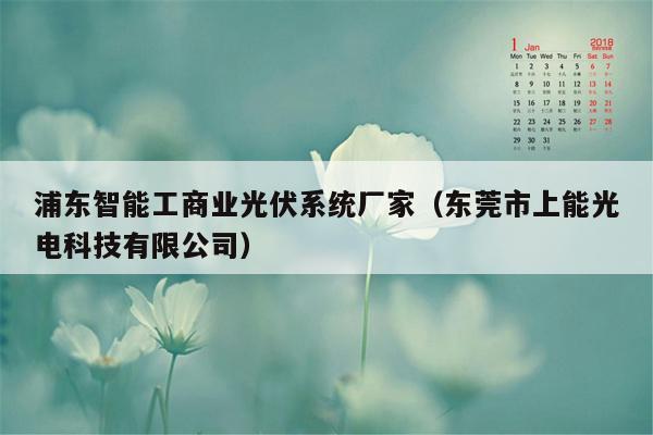 浦东智能工商业光伏系统厂家（东莞市上能光电科技有限公司）