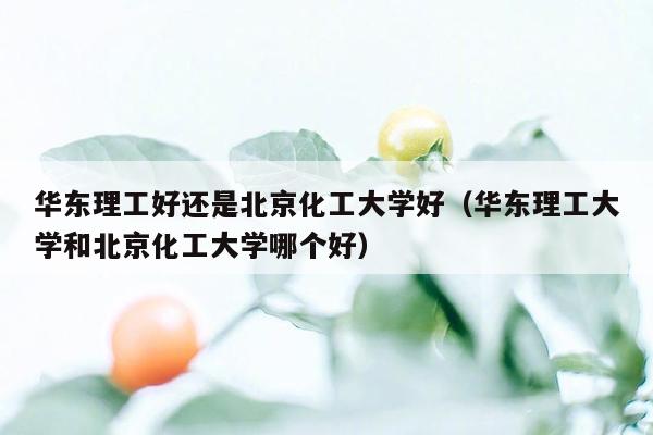 华东理工好还是北京化工大学好（华东理工大学和北京化工大学哪个好）