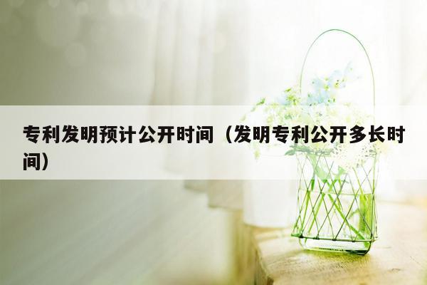 专利发明预计公开时间（发明专利公开多长时间）