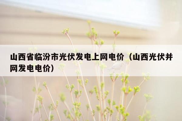 山西省临汾市光伏发电上网电价（山西光伏并网发电电价）