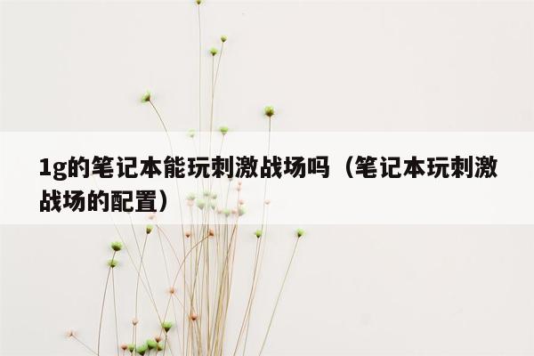 1g的笔记本能玩刺激战场吗（笔记本玩刺激战场的配置）