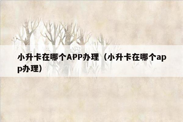 小升卡在哪个APP办理（小升卡在哪个app办理）