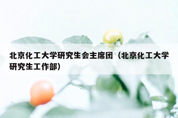 北京化工大学研究生会主席团（北京化工大学研究生工作部）