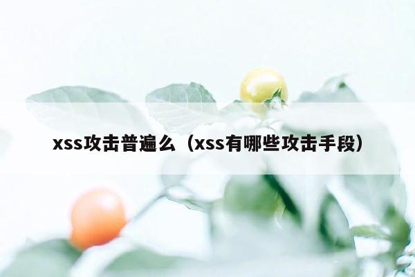 xss攻击普遍么（xss有哪些攻击手段）