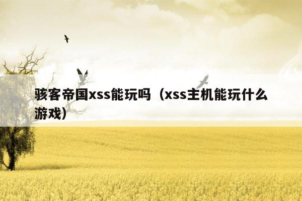 骇客帝国xss能玩吗（xss主机能玩什么游戏）