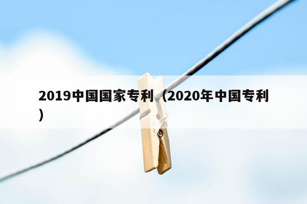 2019中国国家专利（2020年中国专利）