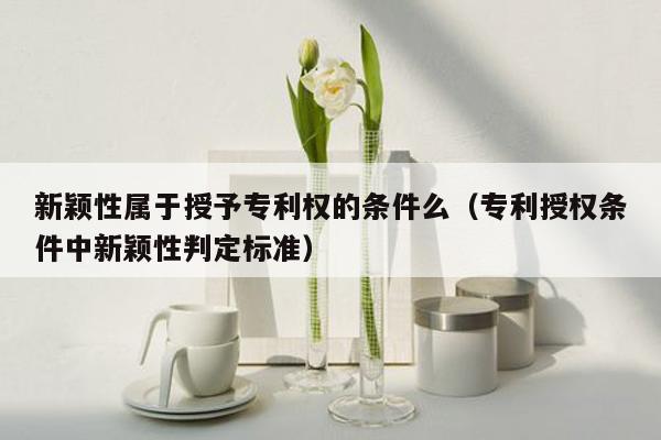 新颖性属于授予专利权的条件么（专利授权条件中新颖性判定标准）