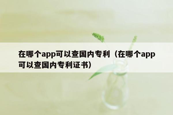 在哪个app可以查国内专利（在哪个app可以查国内专利证书）