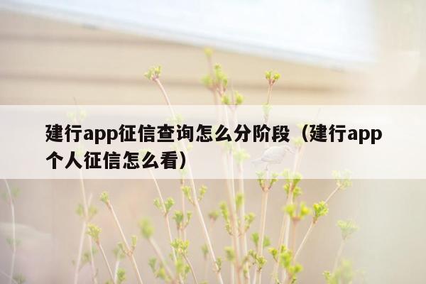 建行app征信查询怎么分阶段（建行app个人征信怎么看）