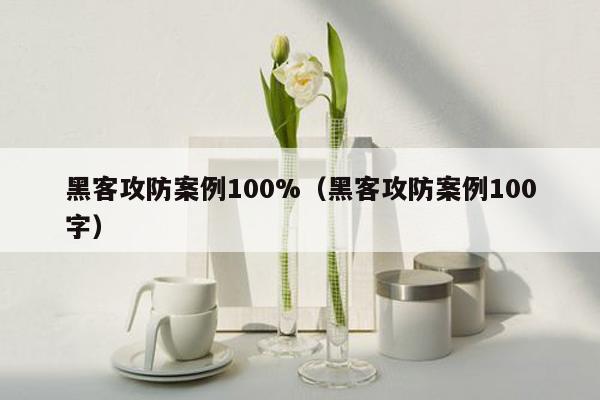 黑客攻防案例100%（黑客攻防案例100字）