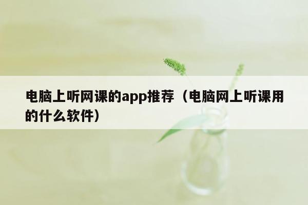 电脑上听网课的app推荐（电脑网上听课用的什么软件）