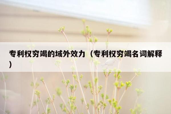 专利权穷竭的域外效力（专利权穷竭名词解释）