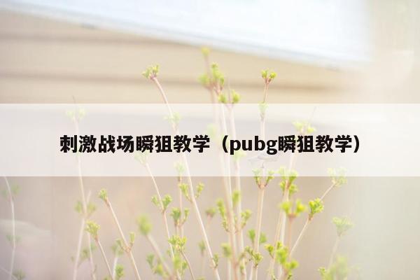 刺激战场瞬狙教学（pubg瞬狙教学）