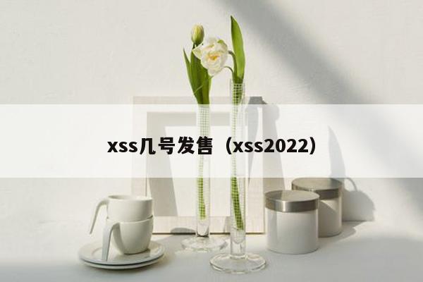 xss几号发售（xss2022）