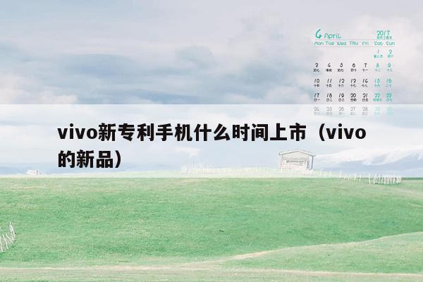 vivo新专利手机什么时间上市（vivo的新品）